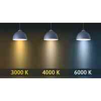 Anello L LED Ring-Hängeleuchte Ø 80 cm Schwarz 48W CCT 3000/4000/6000K