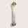 Wandleuchte Metall & Glas Lunara LED 2xE14  Dimmbar Gold Vintage Wandlampe Warmweiß