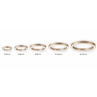 LED Ringleuchte Gold Ø40-120 cm CCT dimmbar ab 60 cm